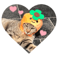 natsumi_20220526233114