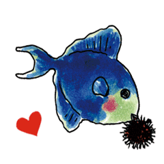 Redtoothed triggerfish likes sea urchins