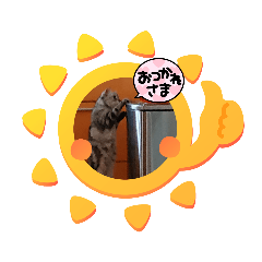 うちのスコ(色々)