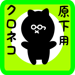 black cat sticker for harashita
