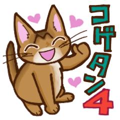 Kogeta the aby cat4