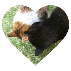 MIZUKI_20220526232350