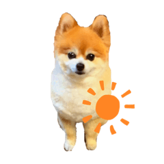 T-K-O-K
