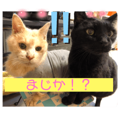 Linda_20220527162848