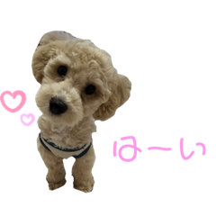 Shiho_20220527170639