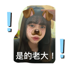 胖芸芸喜歡熊貓