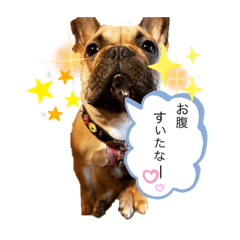 chiyo_20220527204701