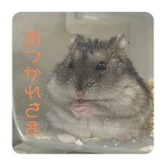 Jack_20220527215311