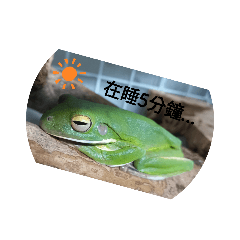 兩棲欣球樂園