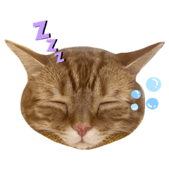 rain_20220527222429
