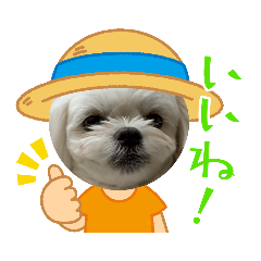 melmogu_20220528110723