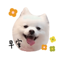 我叫吳小寶