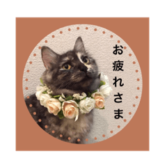 lovely cat pretty family friend stamp