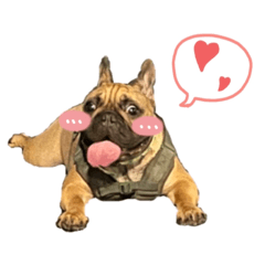 黑嘴法鬥抖宅的日常