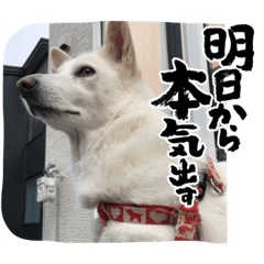 azuki home_20220527233327