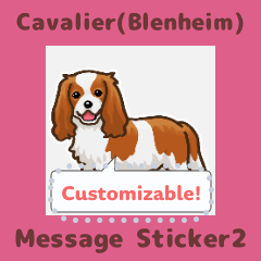 Cavalier(Blenheim) - msg(en) 2