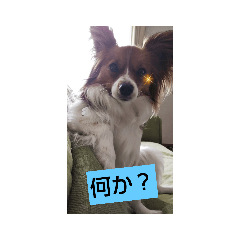jin_20220527194237