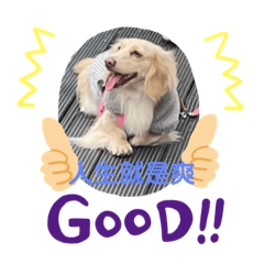 臘腸狗搞怪生活