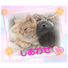 Junko_20220527210924