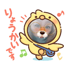 yuuko_20220528113918