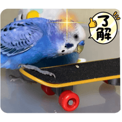 kaori_20220528084731