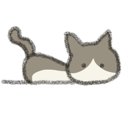 Chiccha tuxedo cat