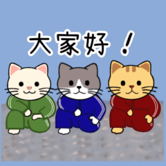 ３貓咪（運動服)
