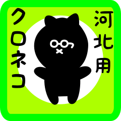 black cat sticker for kawakita