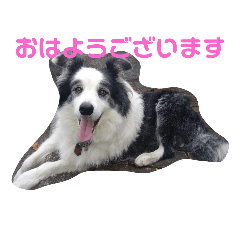oridoon_20220528020701
