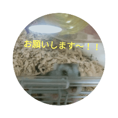 MIZUKI_20220528113003