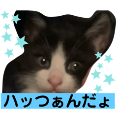 sayuri_20220528113217