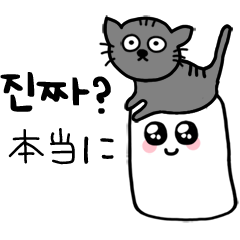 [韓国語+日本語] マシュマロと猫