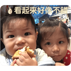 忻忻相映 日常用語（中文）