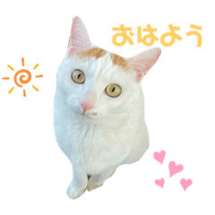 misa_20220528151747