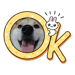 yk_20220528143808