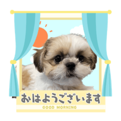 RINA_20220528160002
