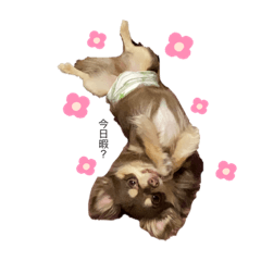 kii_20220528183925