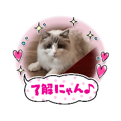 melmogu_20220528195212