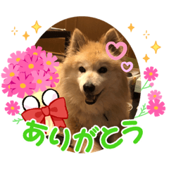 はなスタンプ(^ ^)