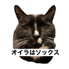 Ai_20220528211239