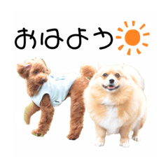 yukina_20220528220325