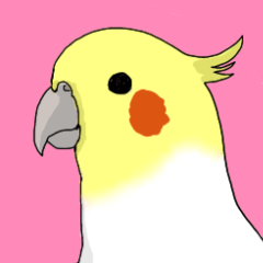 Cockatiel AKN