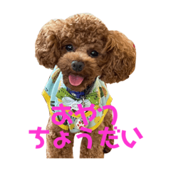 hikaru_20220528175458
