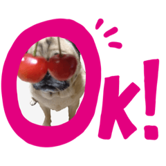 nozomi_20220529064704