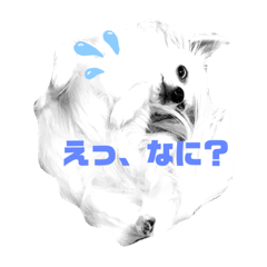 YOSHI-HAPPY_20220529111815