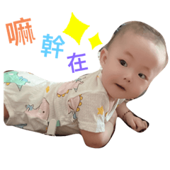 鵬鵬～小可愛來嘍！ 2