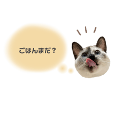 risa_20220529141635