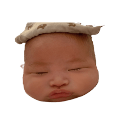 Aoi.20