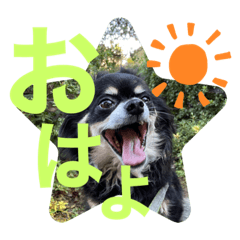 Don t behave every day