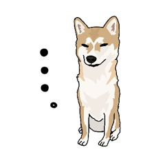 Mame-Shiba1